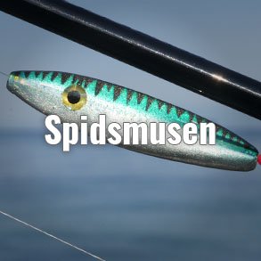 Spidsmusen