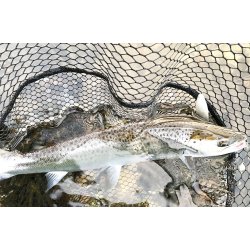 Gennemlber Spidsmusen "Raw" Med Top Coat