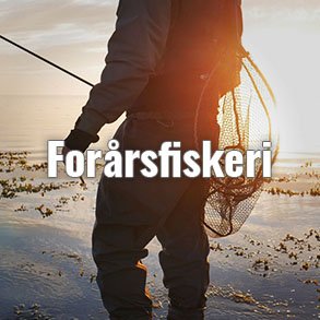 Blink til havørred Forår