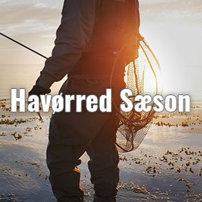 Havørredfiskeri Sæson