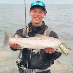 Gennemlber Hugormen "Seenadeel"