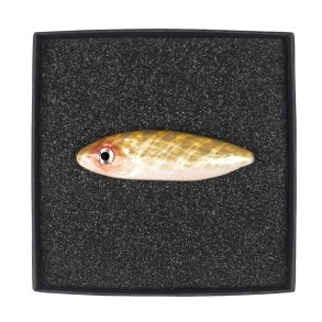 Kystwobler til havrred - ca. 10 g. Gennemlber