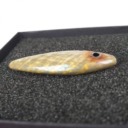 Kystwobler til havrred - ca. 10 g. Gennemlber