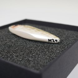 Kystwobler til havrred - ca. 10 g. Gennemlber