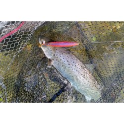 Gaveske m. Blink - Gennemlber - Brsteorm