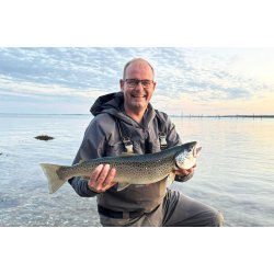 Eel Amber Gennemlber