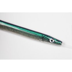 Eel Hornfisch Durchlaufblinker